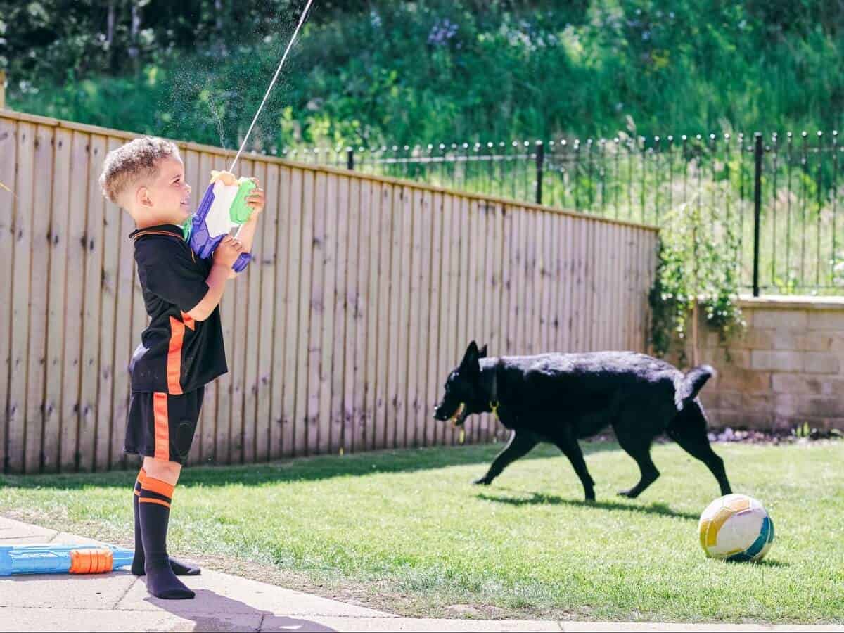 A young boy plays with a water gun in a backyard secured by a wooden dog-proof fence, while a black dog runs across the grass, ensuring a safe and enclosed environment for children and pets.
