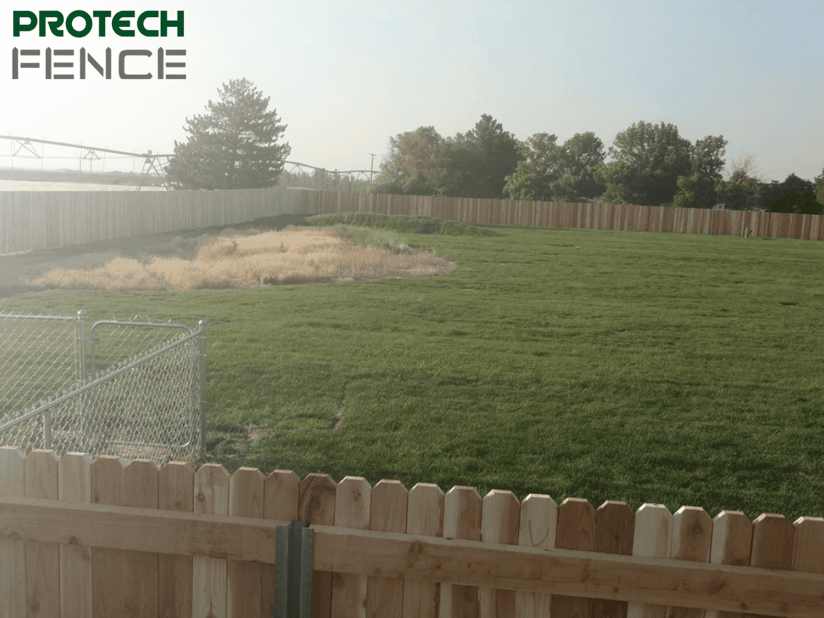A large backyard is enclosed by a tall, freshly installed wooden fence. The image highlights a section of a property with green grass, a small patch of dry grass, and a metal gate in the foreground. This visual example is pertinent for understanding how much it costs to build a wooden fence.