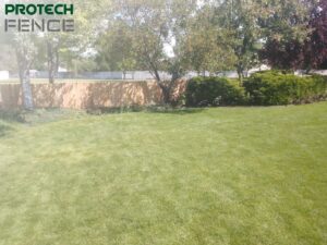 Wood fence bordering a lush, green backyard with trees and shrubs, highlighting the affordable price per linear foot for wood fence installation.
